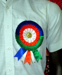 MNS Flag Manufacturer Ichalkaranji