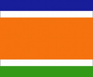 MNS Flag Manufacturer Ichalkaranji